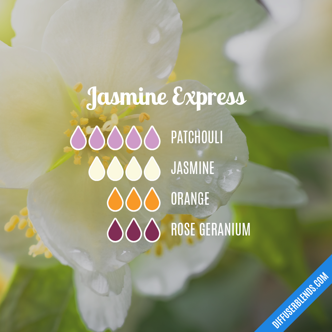 Jasmine Express | DiffuserBlends.com