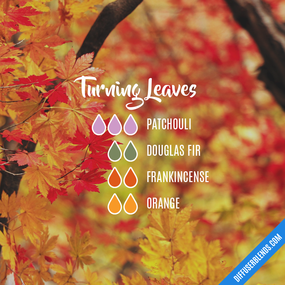 Turning Leaves — Essential Oil Diffuser Blend