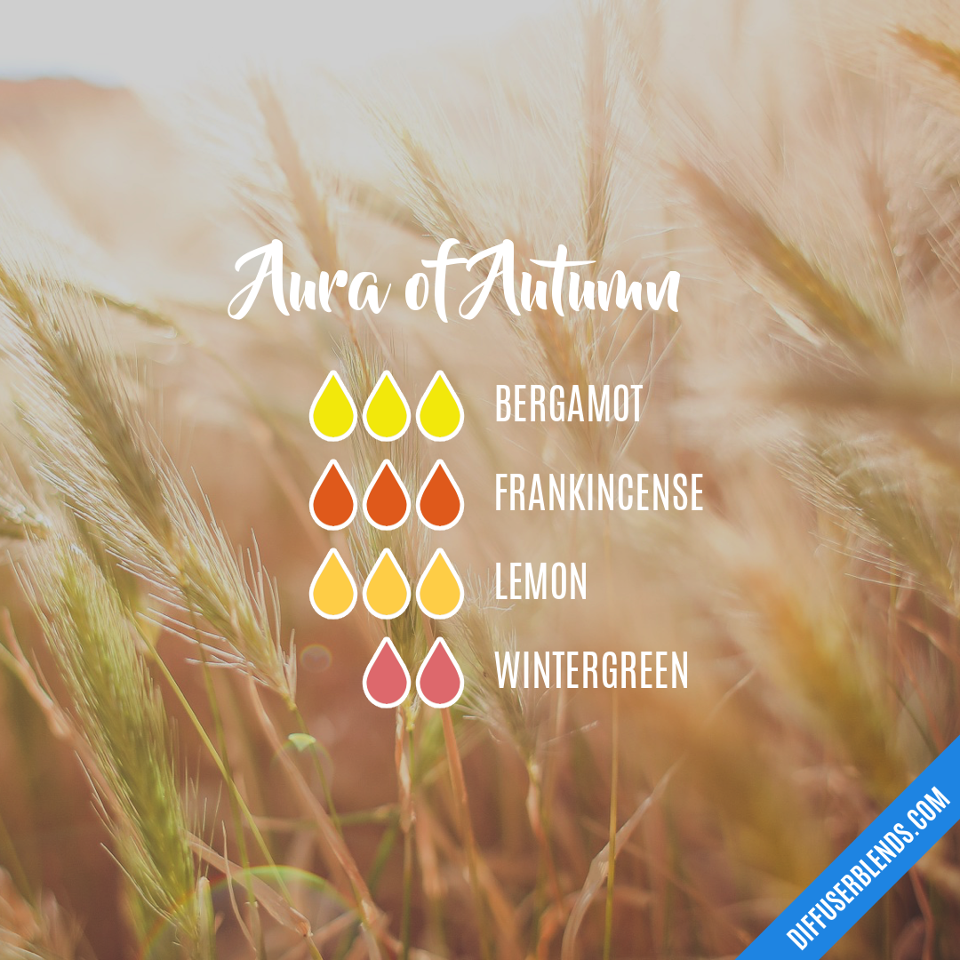 Aura of Autumn — Essential Oil Diffuser Blend