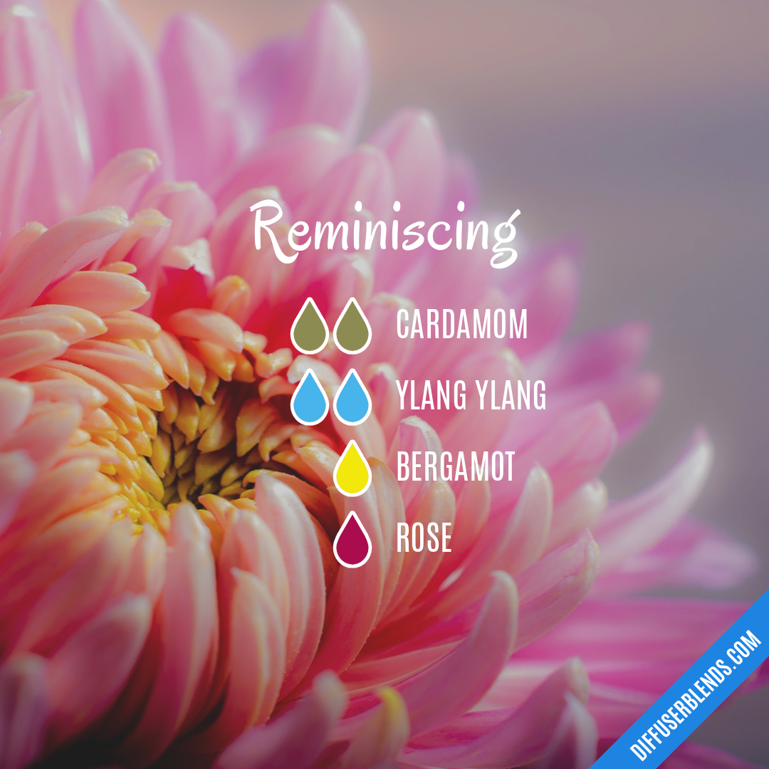 Reminiscing — Essential Oil Diffuser Blend