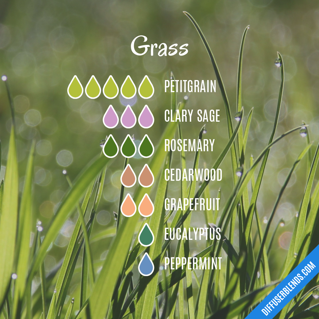 Grass — Essential Oil Diffuser Blend