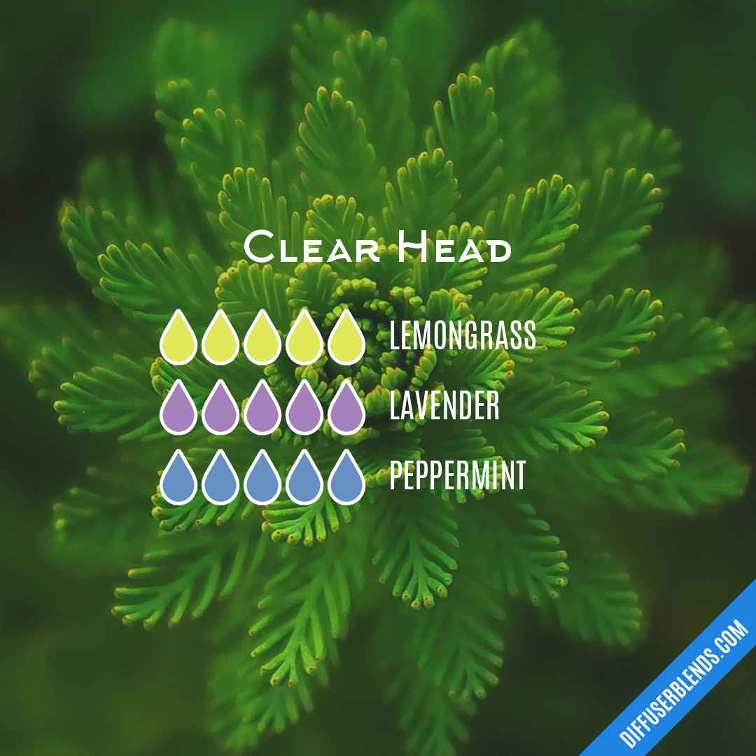 Clear Head — Essential Oil Diffuser Blend