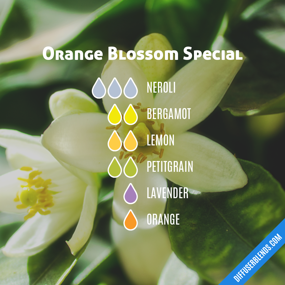 Orange Blossom Special — Essential Oil Diffuser Blend