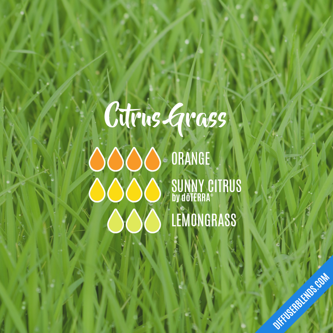 Citrus Grass — Essential Oil Diffuser Blend