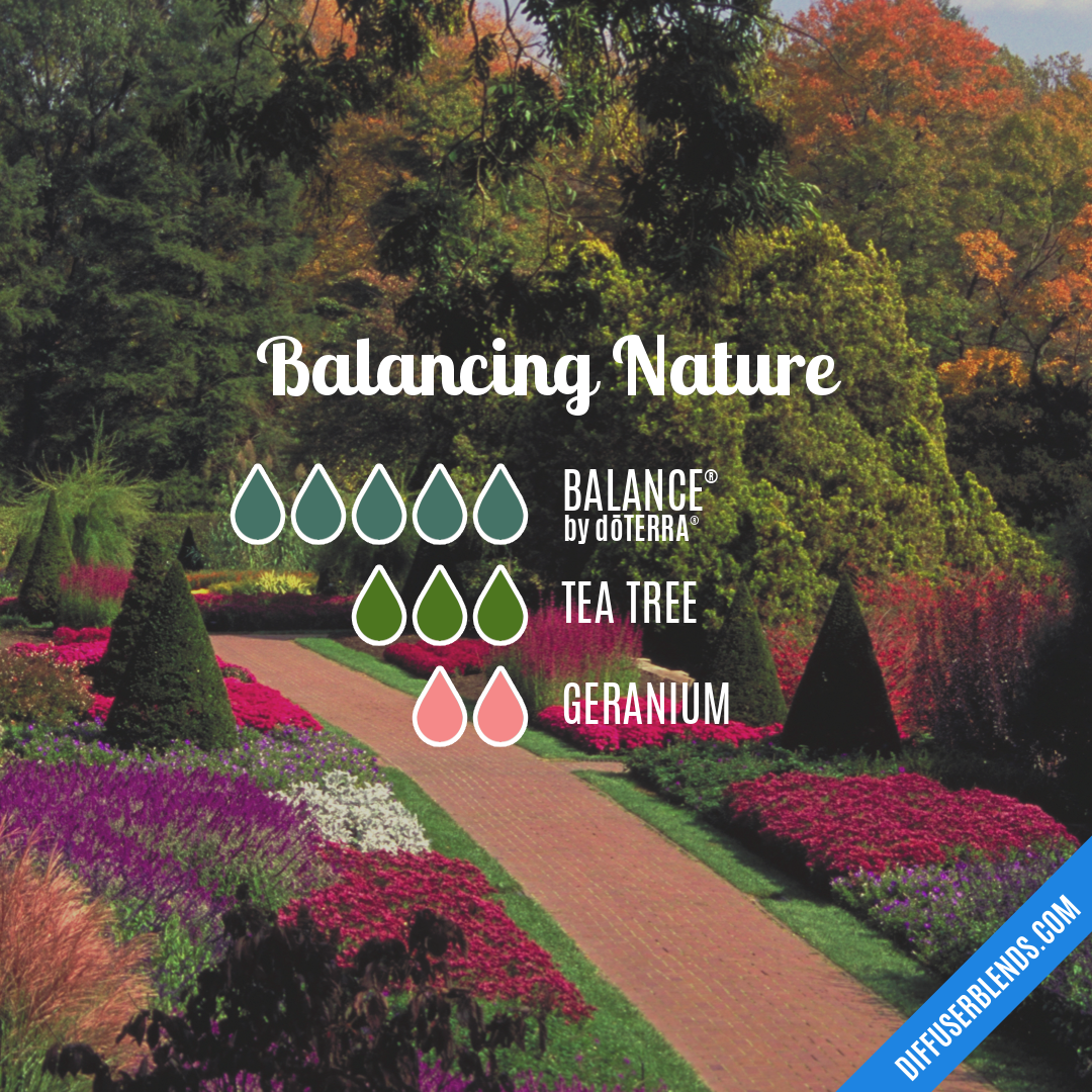 Balancing Nature — Essential Oil Diffuser Blend