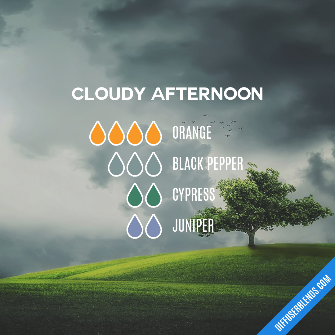 Cloudy Afternoon — Essential Oil Diffuser Blend