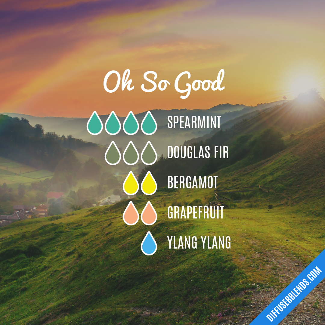Oh So Good | DiffuserBlends.com