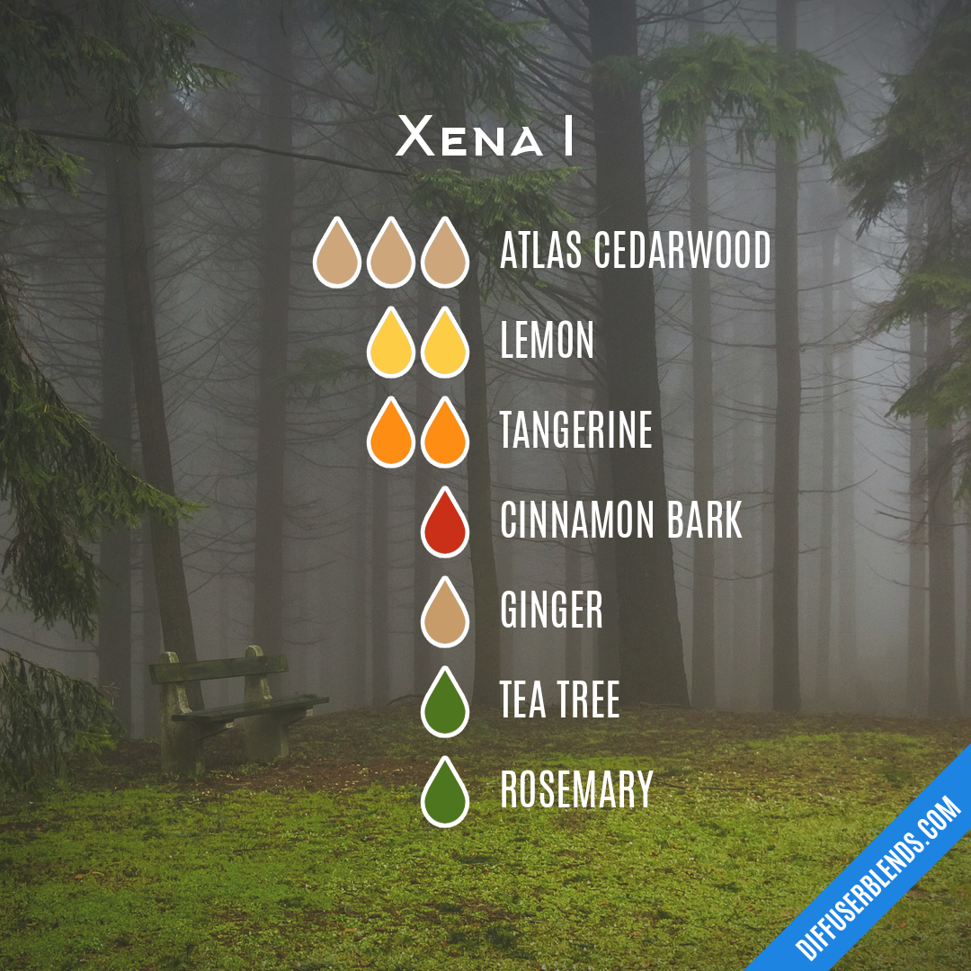 Xena I — Essential Oil Diffuser Blend