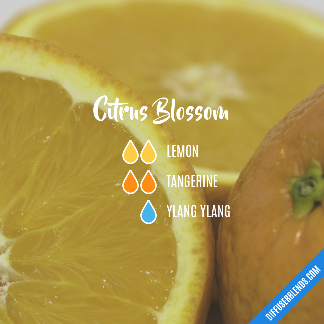 Citrus Blossom — Essential Oil Diffuser Blend