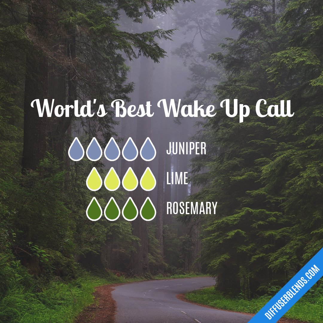 World's Best Wake Up Call — Essential Oil Diffuser Blend