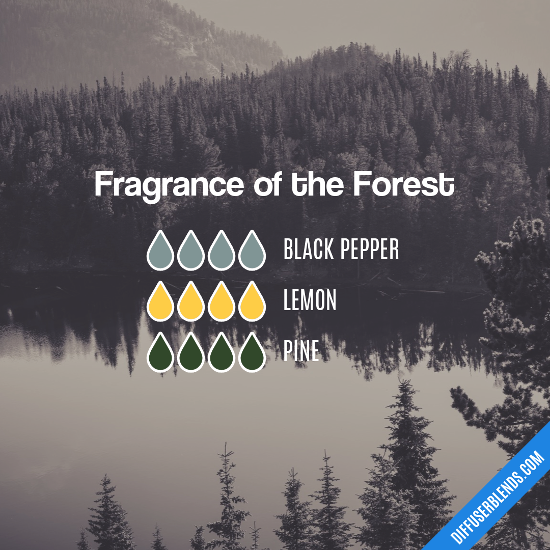 Fragrance of the Forest — Essential Oil Diffuser Blend