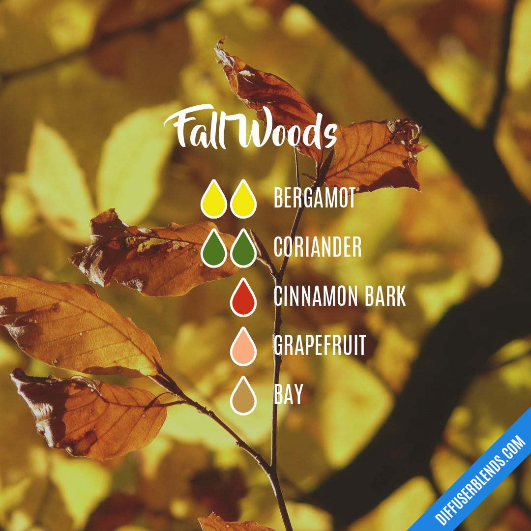 Fall Woods | DiffuserBlends.com