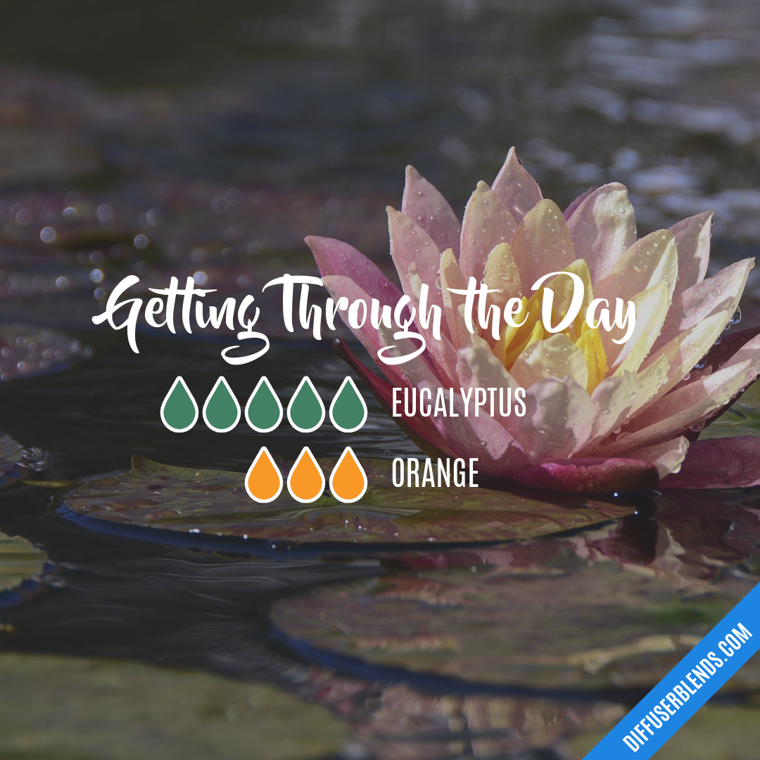 Getting Through the Day — Essential Oil Diffuser Blend