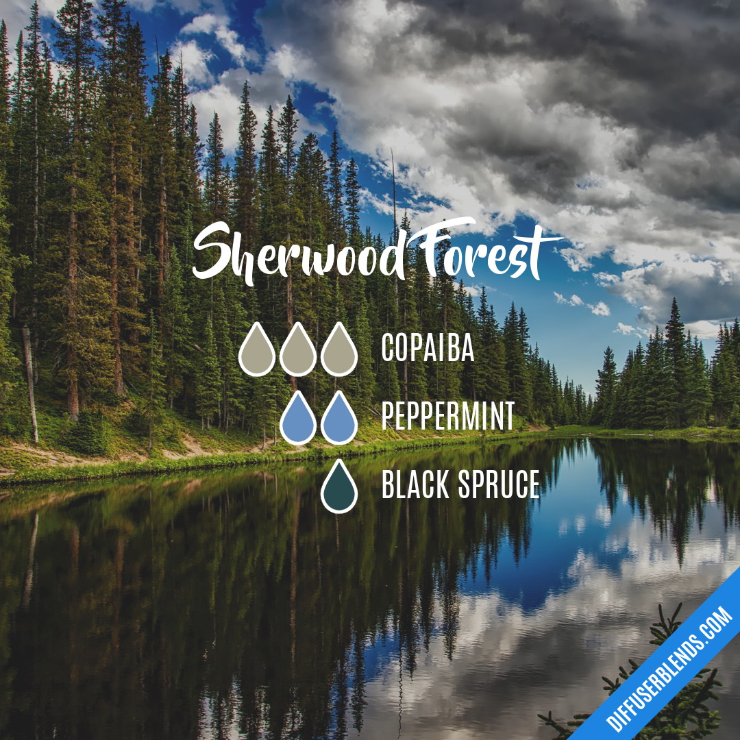 Sherwood Forest — Essential Oil Diffuser Blend