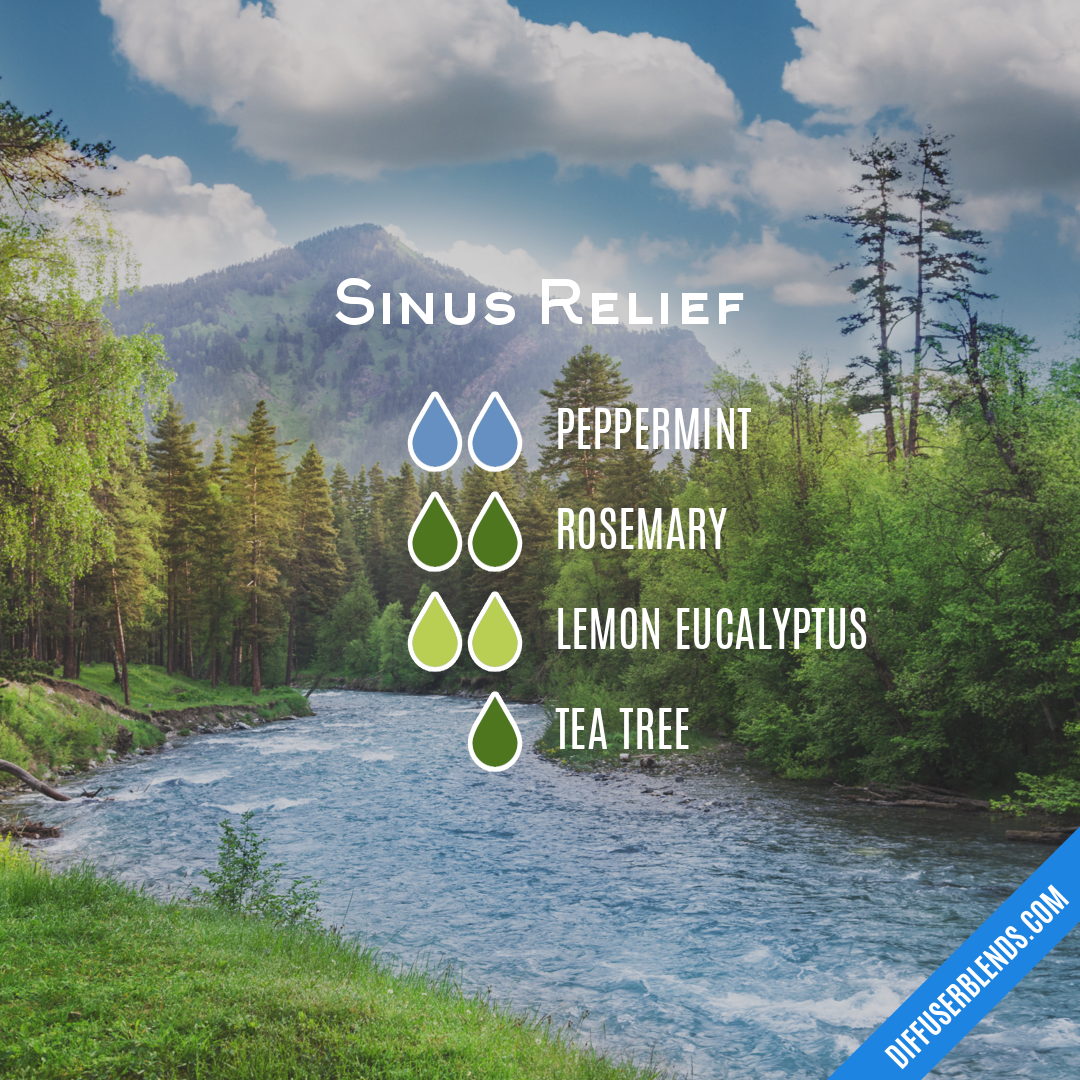 Sinus Relief — Essential Oil Diffuser Blend