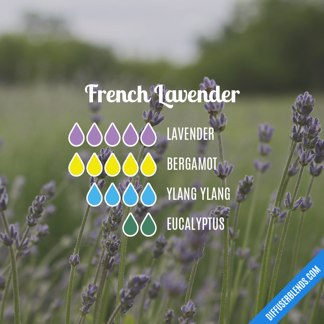 French Lavender — Essential Oil Diffuser Blend