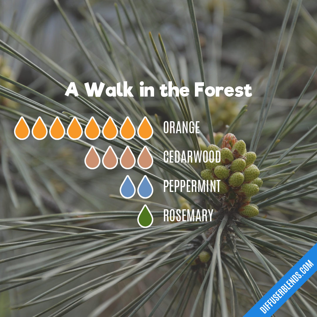 A Walk in the Forest — Essential Oil Diffuser Blend