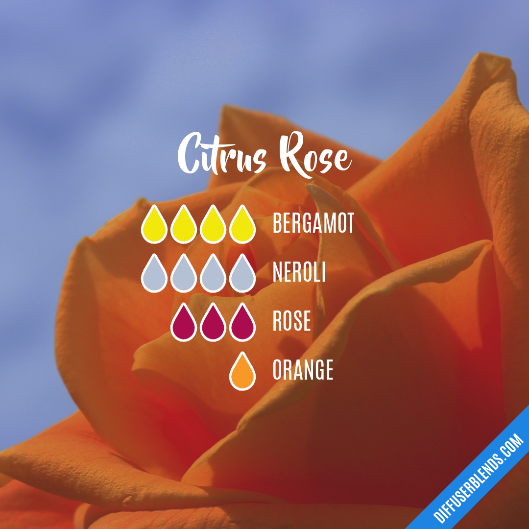 Citrus Rose — Essential Oil Diffuser Blend