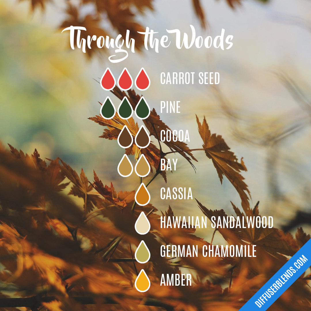 Through the Woods — Essential Oil Diffuser Blend