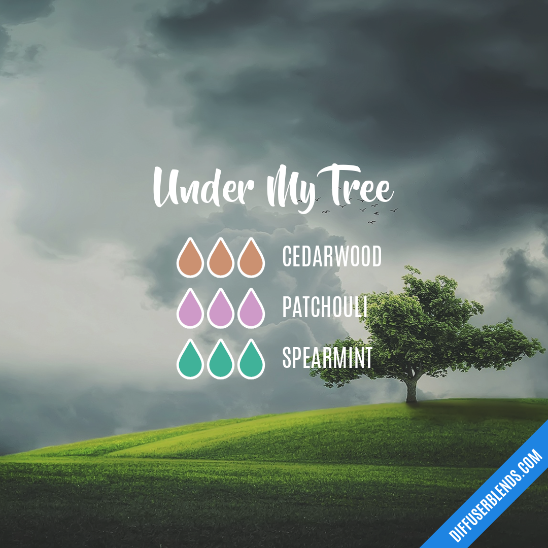 Under My Tree — Essential Oil Diffuser Blend