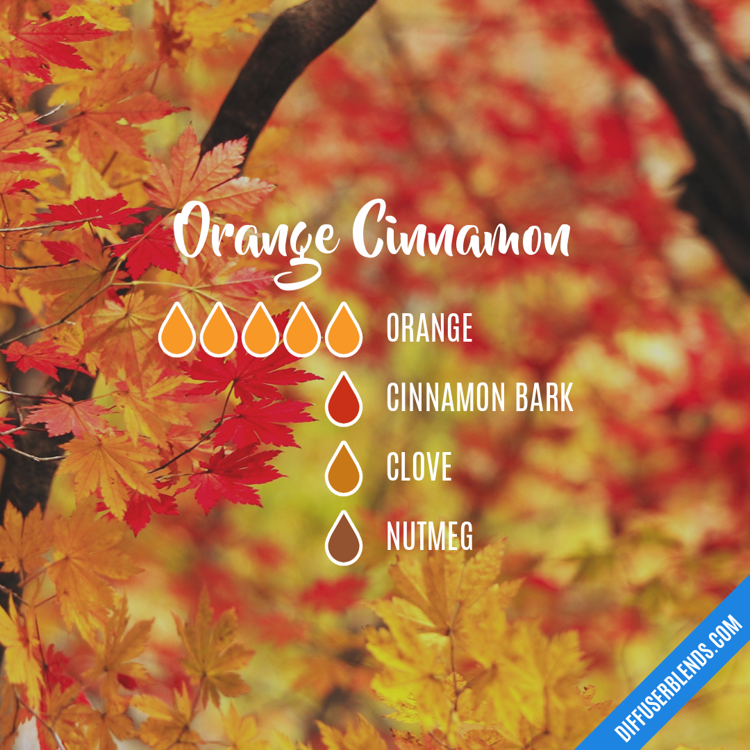 Orange Cinnamon — Essential Oil Diffuser Blend