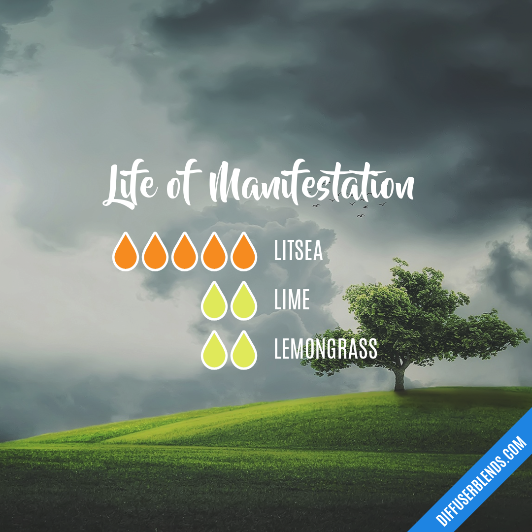 Life of Manifestation — Essential Oil Diffuser Blend