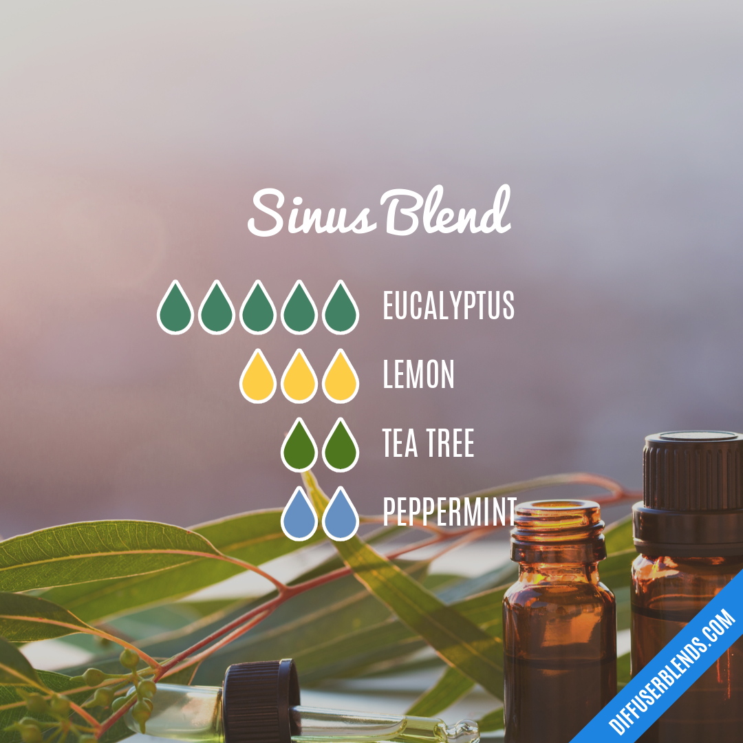 Sinus Blend — Essential Oil Diffuser Blend