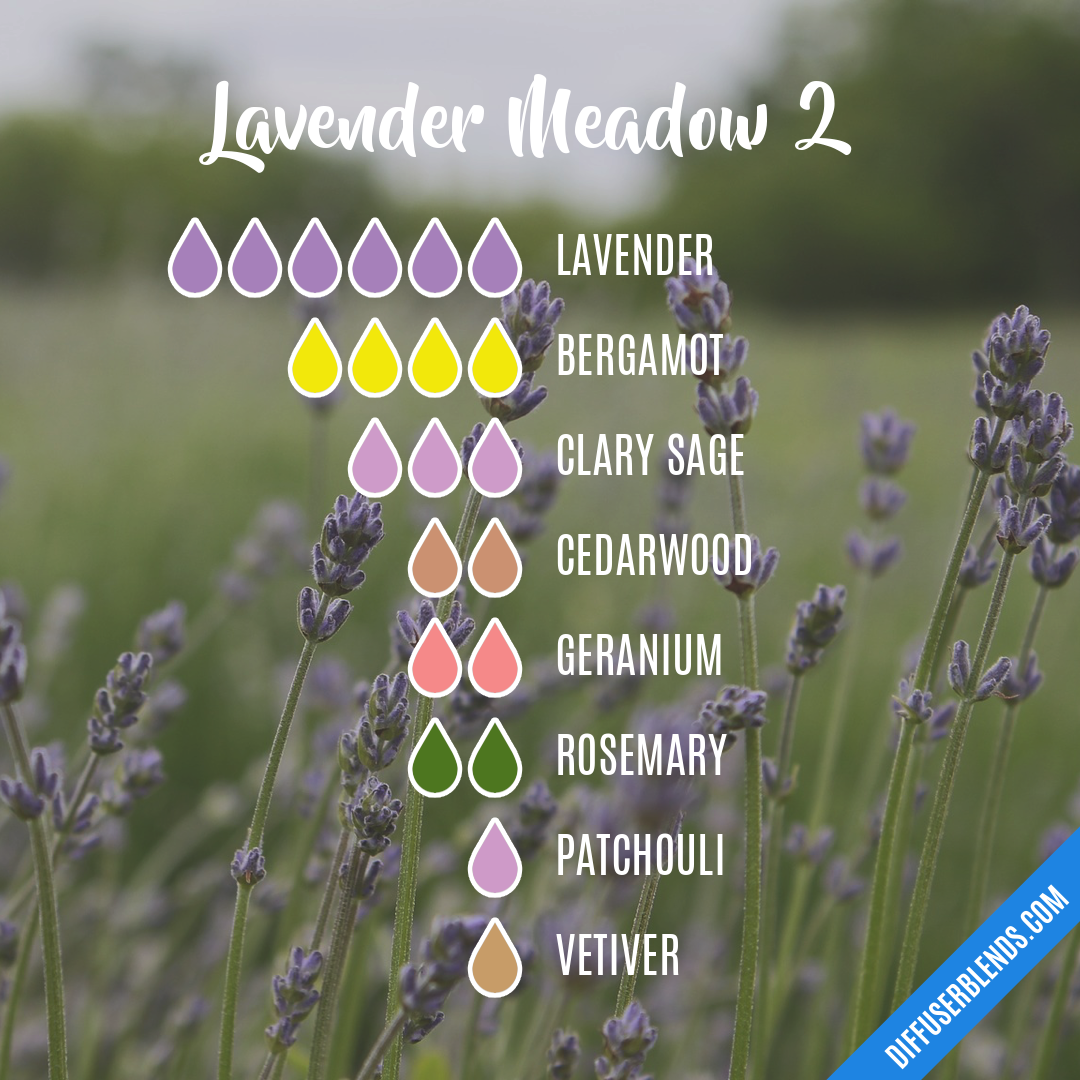 Lavender Meadow 2 