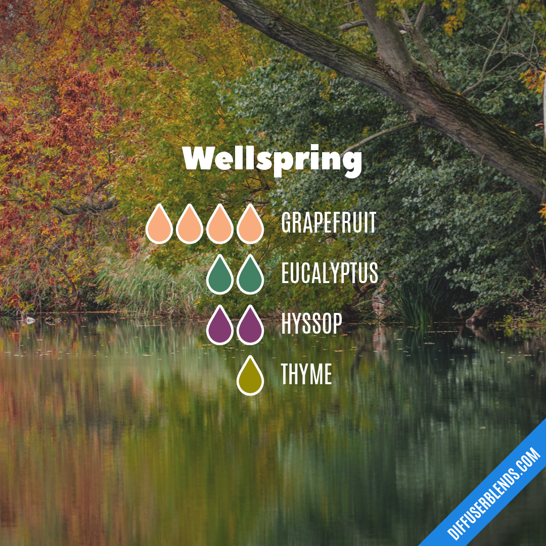 Wellspring — Essential Oil Diffuser Blend