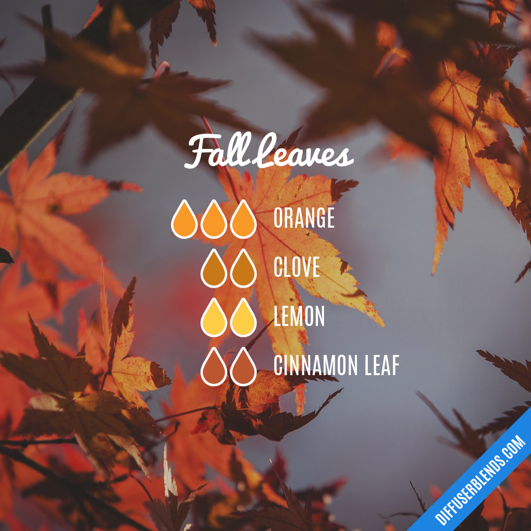 Fall Leaves | DiffuserBlends.com