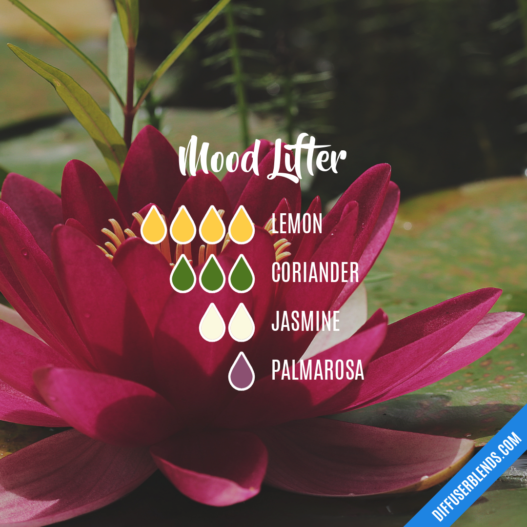 Mood Lifter | DiffuserBlends.com