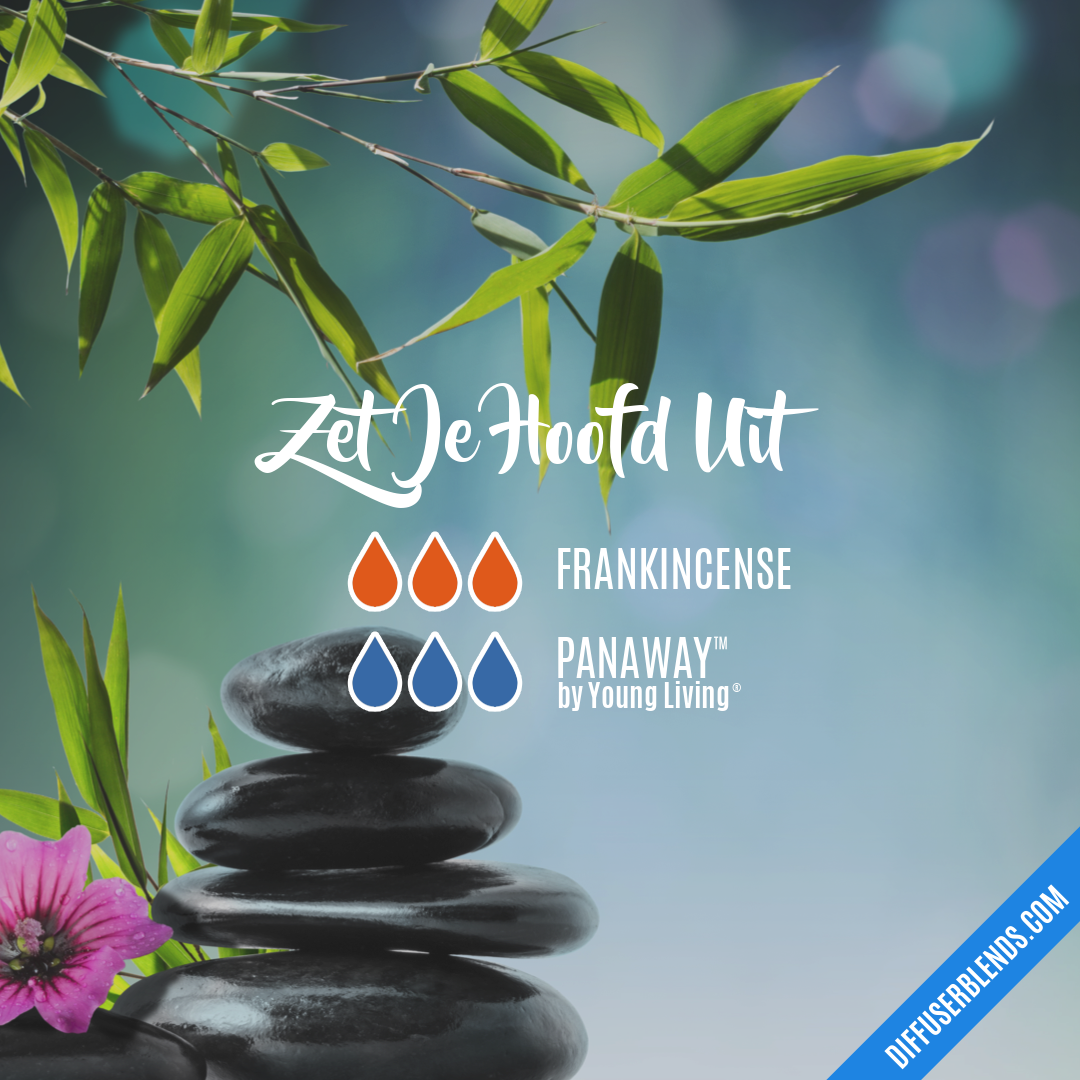 Zet Je Hoofd Uit — Essential Oil Diffuser Blend