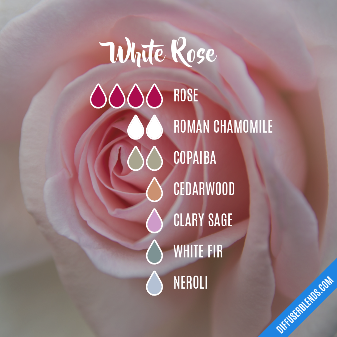 White Rose — Essential Oil Diffuser Blend