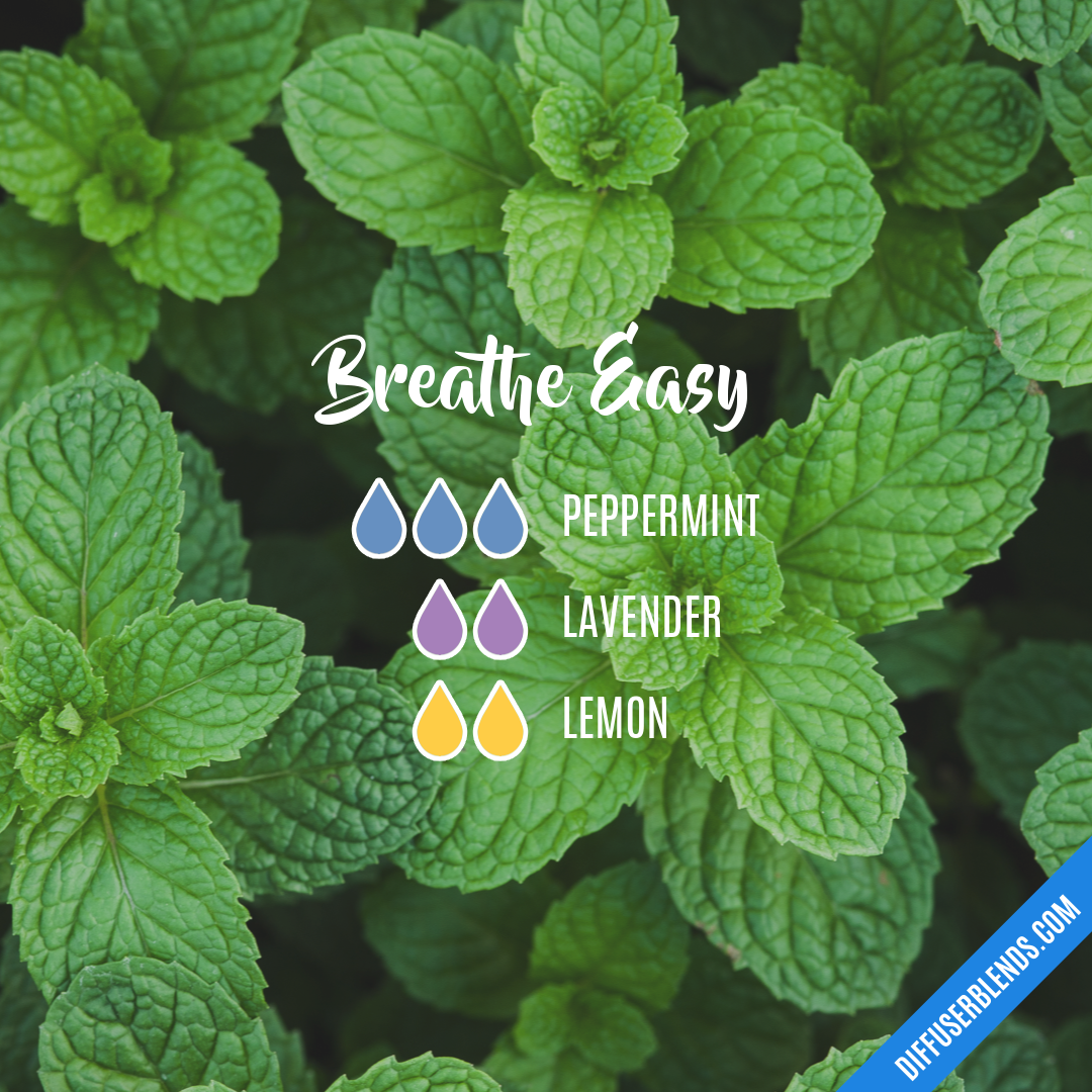 Breathe Easy — Essential Oil Diffuser Blend