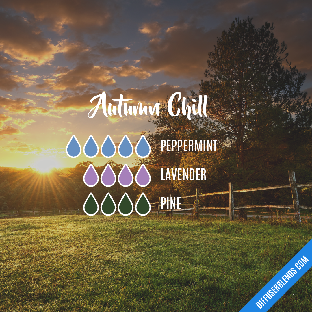 Autumn Chill — Essential Oil Diffuser Blend