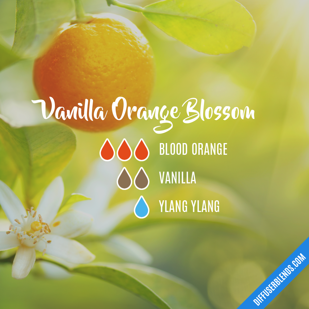 Vanilla Orange Blossom — Essential Oil Diffuser Blend