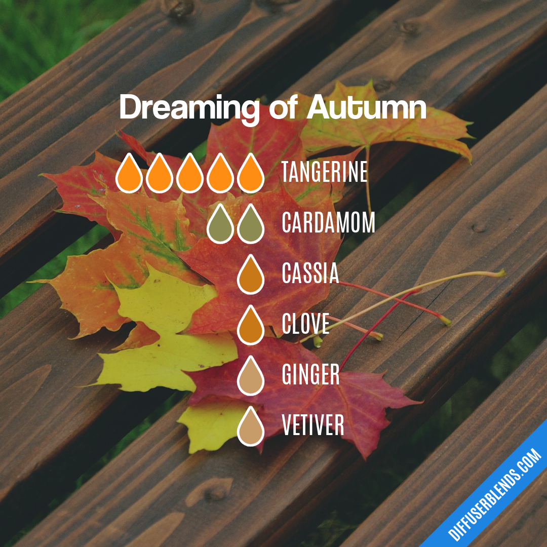 Dreaming of Autumn — Essential Oil Diffuser Blend