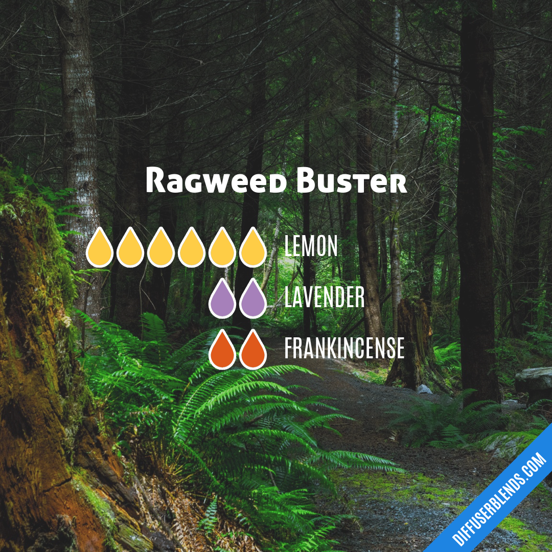 Ragweed Buster — Essential Oil Diffuser Blend