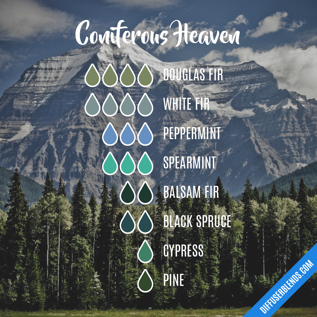 Coniferous Heaven — Essential Oil Diffuser Blend