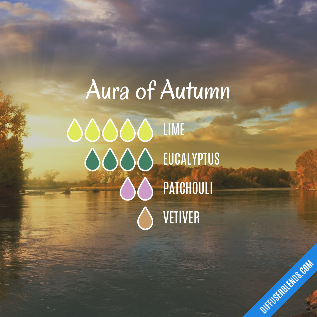 Aura of Autumn — Essential Oil Diffuser Blend