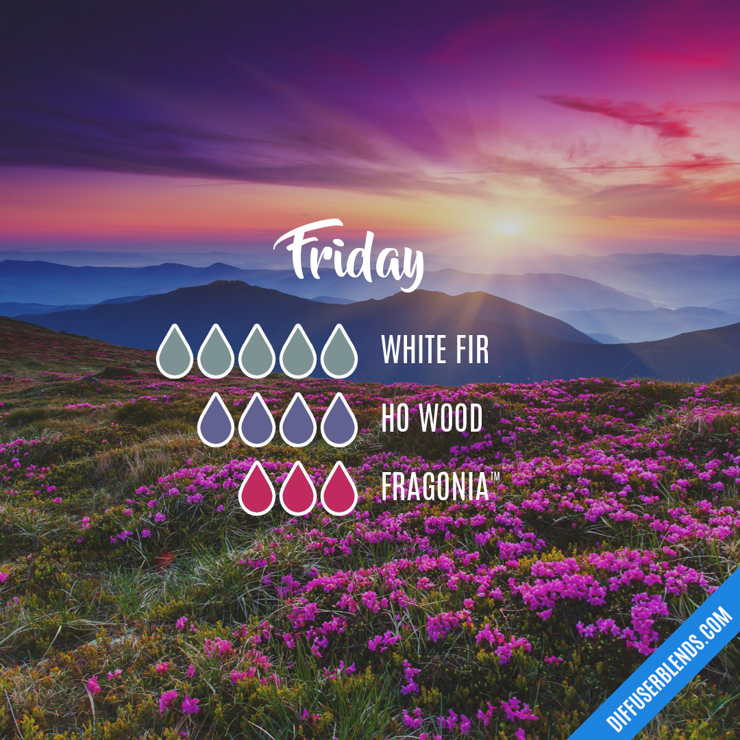 Friday — Essential Oil Diffuser Blend