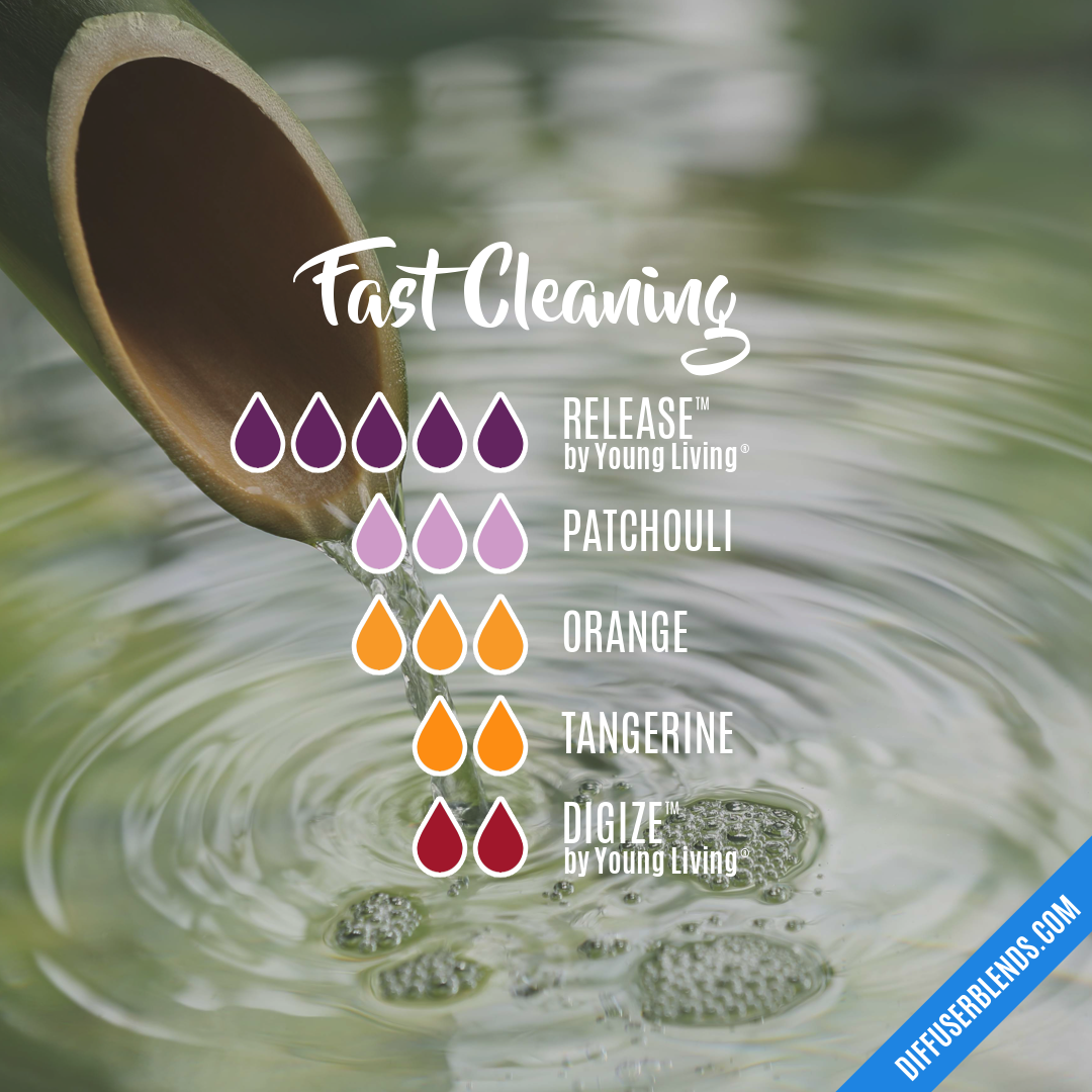 Fast Cleaning — Essential Oil Diffuser Blend