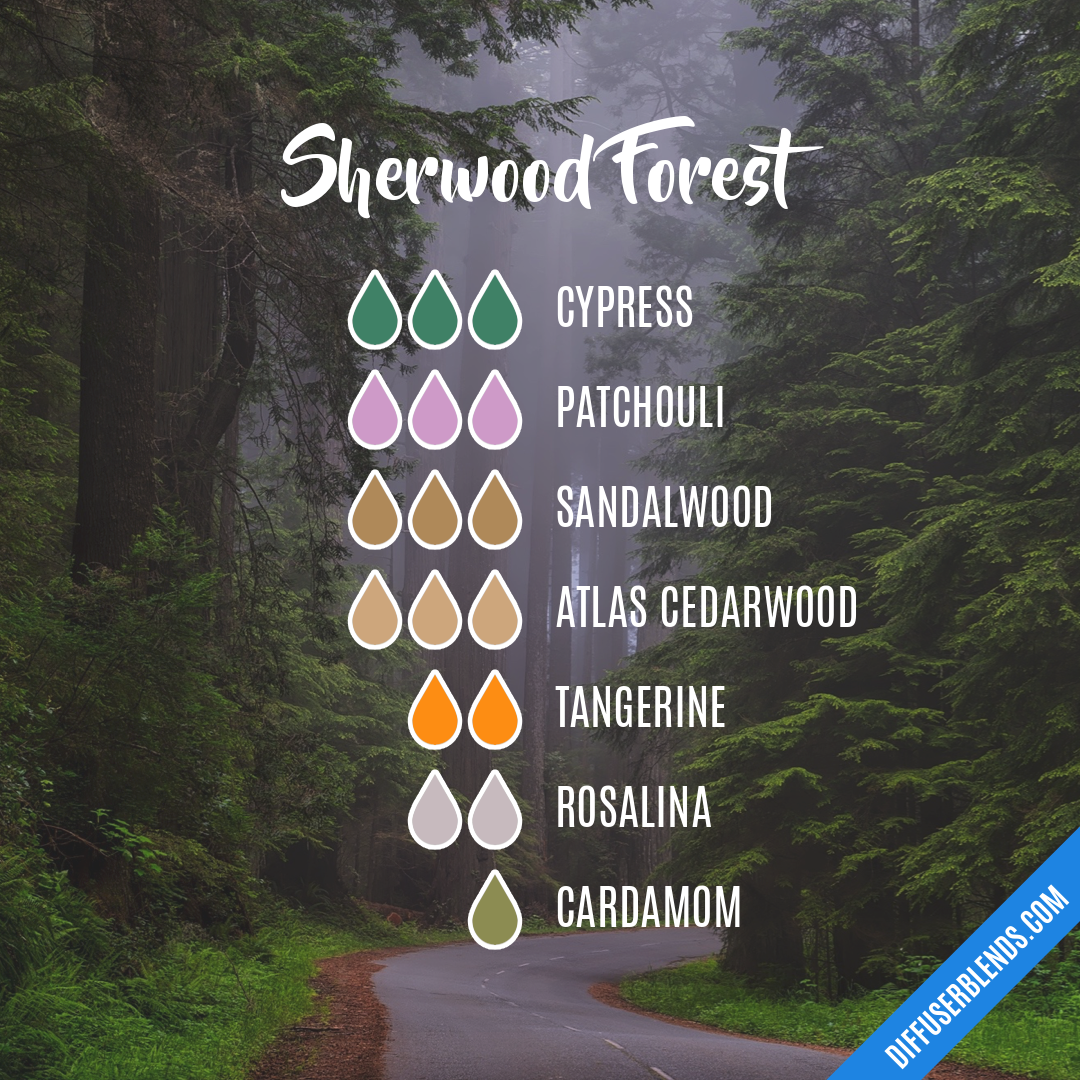 Sherwood Forest — Essential Oil Diffuser Blend