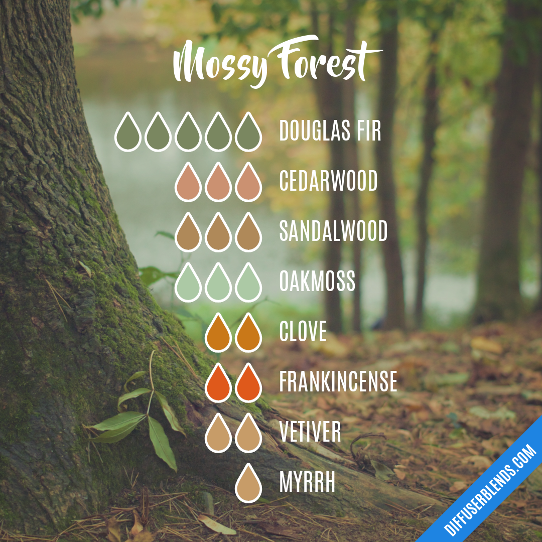 Mossy Forest — Essential Oil Diffuser Blend