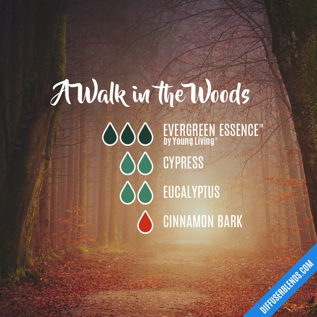 A Walk in the Woods — Essential Oil Diffuser Blend