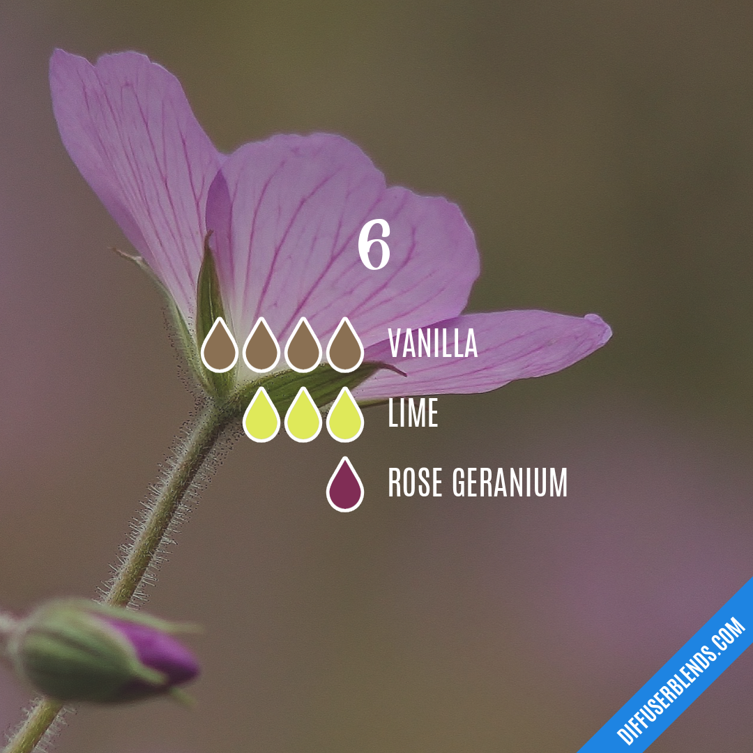 6 — Essential Oil Diffuser Blend