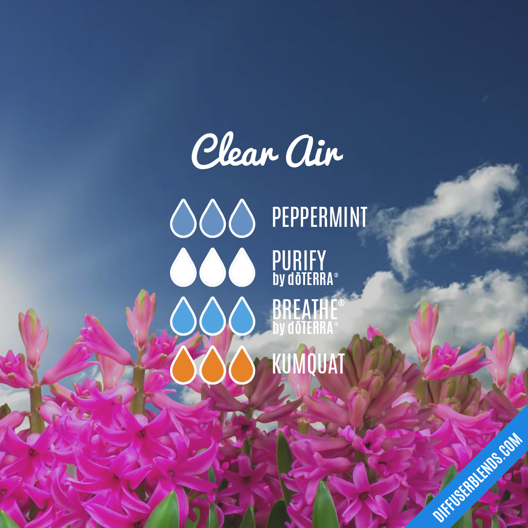 Clear Air — Essential Oil Diffuser Blend