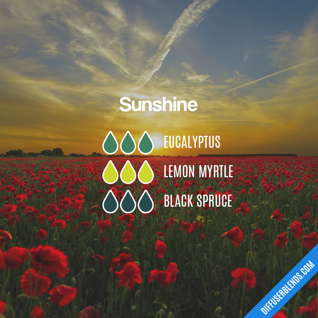 Sunshine — Essential Oil Diffuser Blend