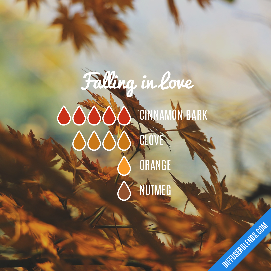 Falling in Love — Essential Oil Diffuser Blend