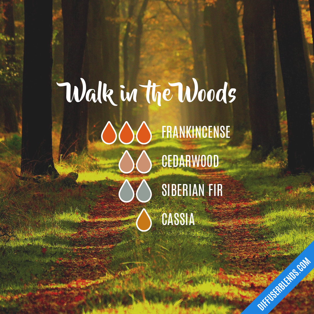 Walk in the Woods — Essential Oil Diffuser Blend